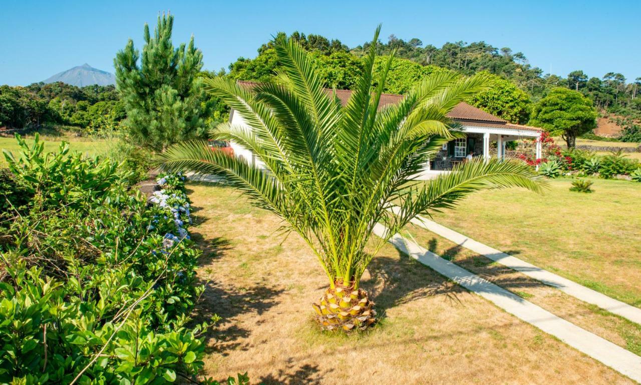Casa Amaral Vila Santo Antonio  Exterior foto